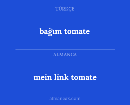 bağım tomate - mein link tomate