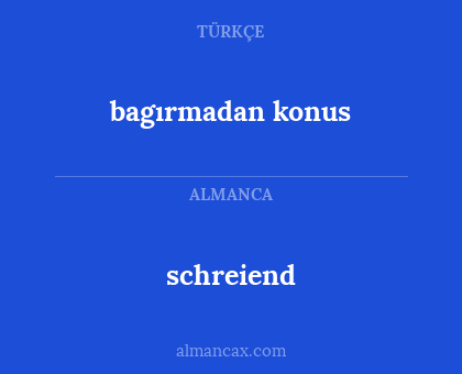 schreiend - bagırmadan konus