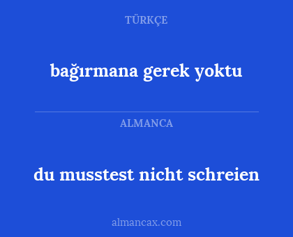 bağırmana gerek yoktu - du musstest nicht schreien