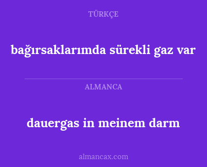 dauergas in meinem darm - bağırsaklarımda sürekli gaz var