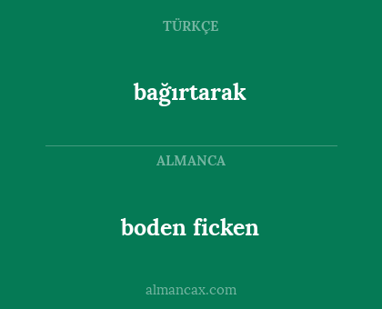 boden ficken - bağırtarak