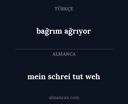 bağrım ağrıyor - mein schrei tut weh