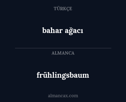 frühlingsbaum - bahar ağacı