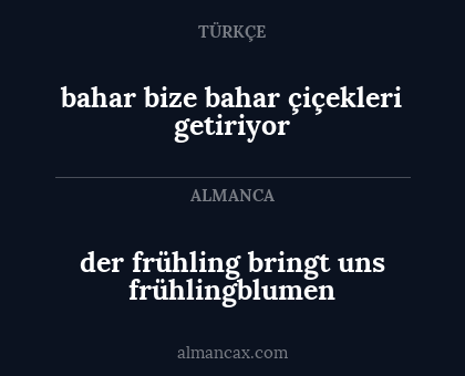bahar bize bahar çiçekleri getiriyor - der frühling bringt uns frühlingblumen
