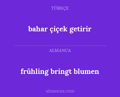 frühling bringt blumen - bahar çiçek getirir