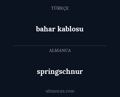 bahar kablosu - springschnur