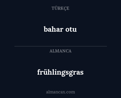 frühlingsgras - bahar otu