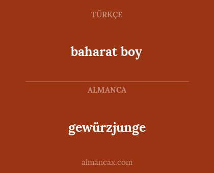 baharat boy - gewürzjunge