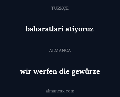 wir werfen die gewürze - baharatlari atiyoruz