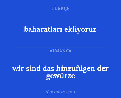 baharatları ekliyoruz - wir sind das hinzufügen der gewürze