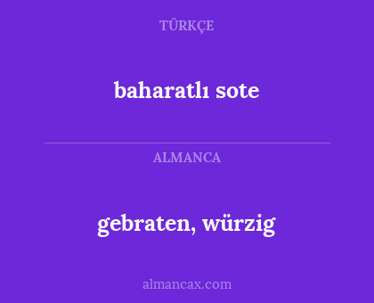 gebraten, würzig - baharatlı sote