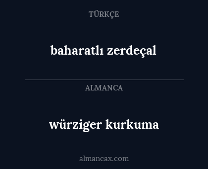 würziger kurkuma - baharatlı zerdeçal