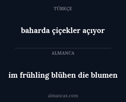 im frühling blühen die blumen - baharda çiçekler açıyor