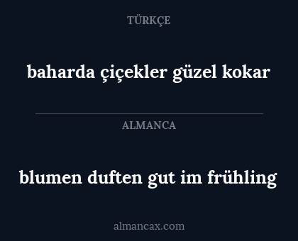 blumen duften gut im frühling - baharda çiçekler güzel kokar