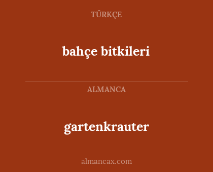 bahçe bitkileri - gartenkrauter