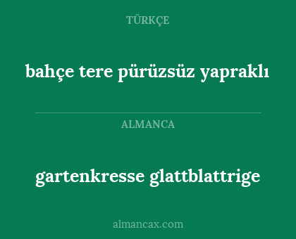 gartenkresse
glattblattrige - bahçe tere pürüzsüz yapraklı