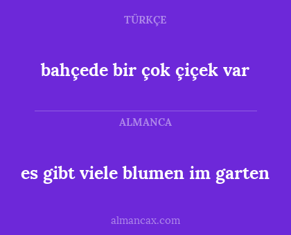 es gibt viele blumen im garten - bahçede bir çok çiçek var