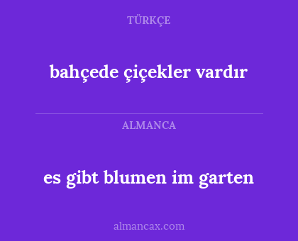 bahçede çiçekler vardır - es gibt blumen im garten