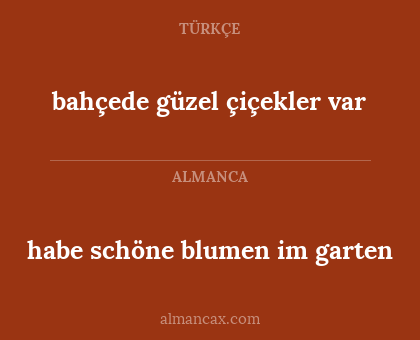 habe schöne blumen im garten - bahçede güzel çiçekler var