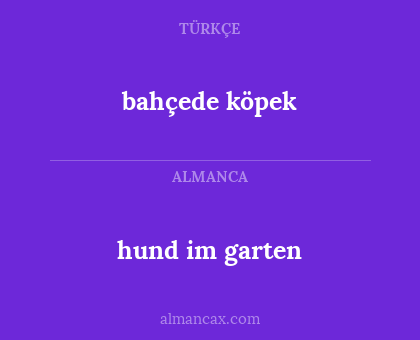 bahçede köpek - hund im garten