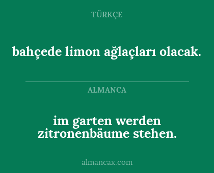 im garten werden zitronenbäume stehen. - bahçede limon ağlaçları olacak.