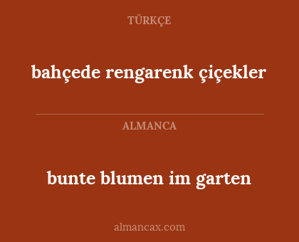 bahçede rengarenk çiçekler - bunte blumen im garten
