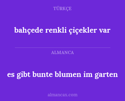 bahçede renkli çiçekler var - es gibt bunte blumen im garten