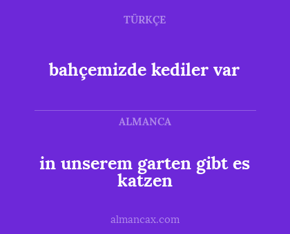 bahçemizde kediler var - in unserem garten gibt es katzen