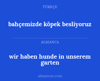 bahçemizde köpek besliyoruz - wir haben hunde in unserem garten
