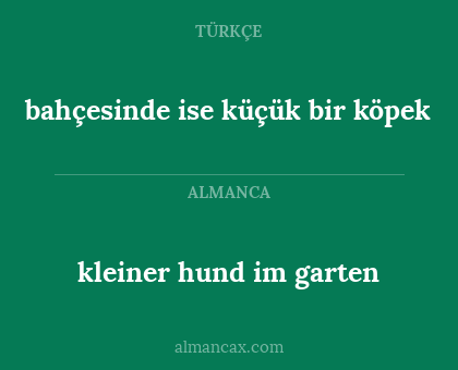 kleiner hund im garten - bahçesinde ise küçük bir köpek