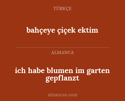 bahçeye çiçek ektim - ich habe blumen im garten gepflanzt