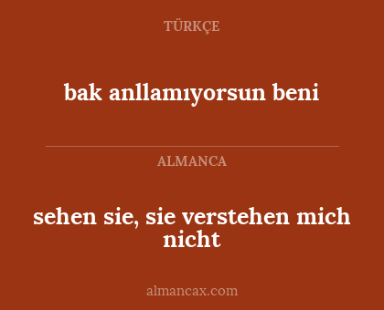 sehen sie, sie verstehen mich nicht - bak anllamıyorsun beni
