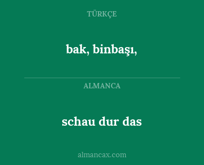 schau dur das - bak, binbaşı,