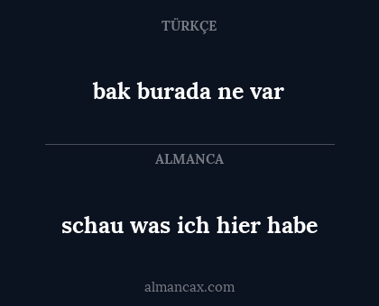 bak burada ne var - schau was ich hier habe