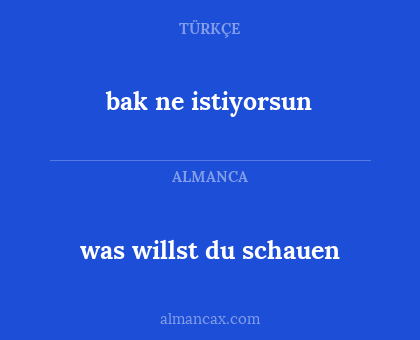 was willst du schauen - bak ne istiyorsun