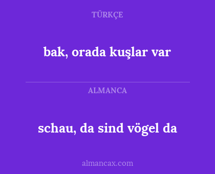 schau, da sind vögel da - bak, orada kuşlar var