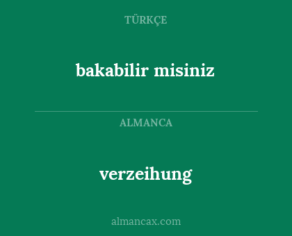 verzeihung - bakabilir misiniz