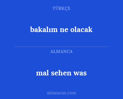 mal sehen was - bakalım ne olacak