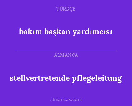 stellvertretende pflegeleitung - bakım başkan yardımcısı