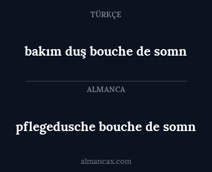 pflegedusche bouche de somn - bakım duş bouche de somn