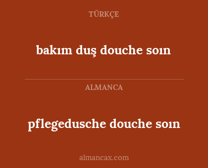 pflegedusche douche soın - bakım duş douche soın
