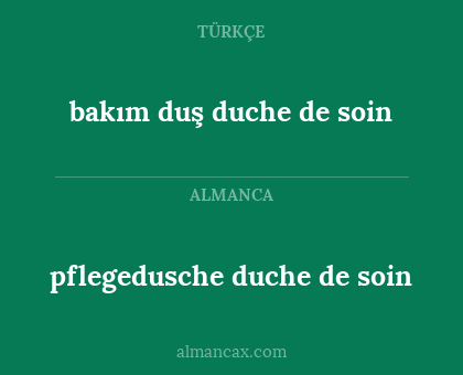 pflegedusche duche de soin - bakım duş duche de soin