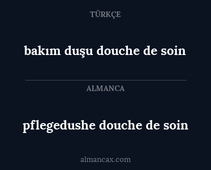 bakım duşu douche de soin - pflegedushe douche de soin