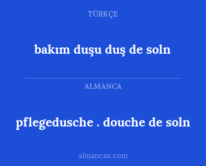 pflegedusche . douche de soln - bakım duşu duş de soln