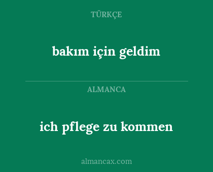 ich pflege zu kommen - bakım için geldim