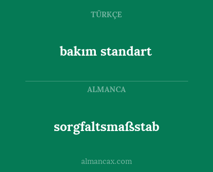 sorgfaltsmaßstab - bakım standart