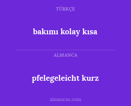 pfelegeleicht kurz - bakımı kolay kısa