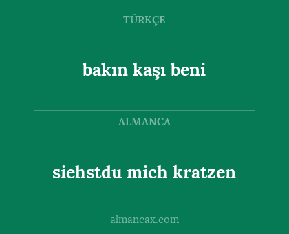 siehstdu  mich kratzen - bakın kaşı beni
