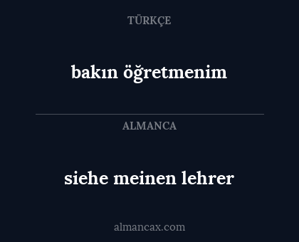 siehe meinen lehrer - bakın öğretmenim