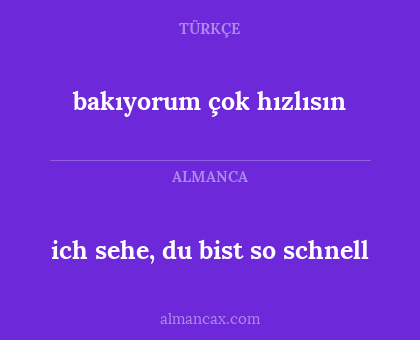 bakıyorum çok hızlısın - ich sehe, du bist so schnell